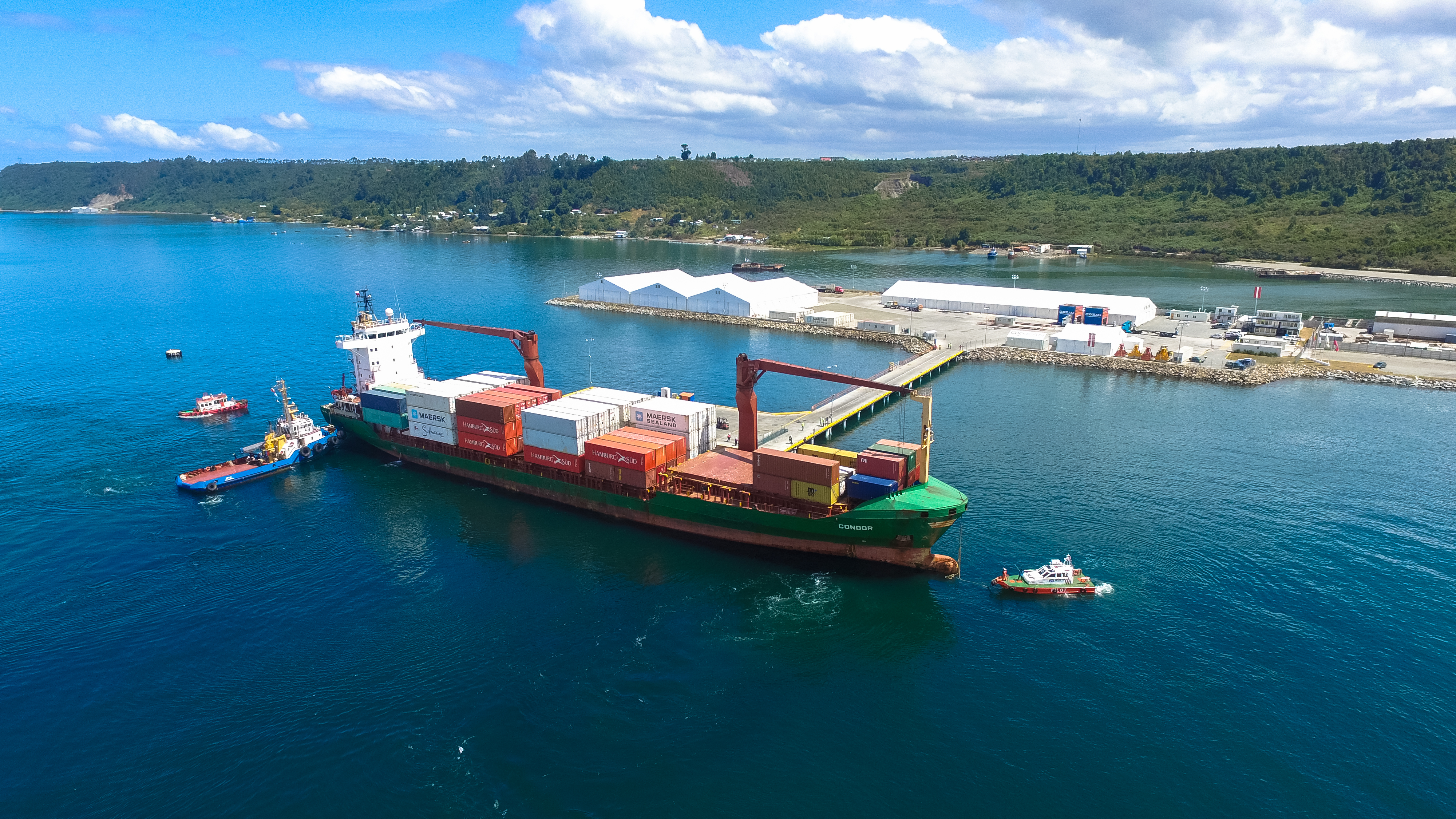 Puerto Chincui inició exportaciones de astillas hacia mercados asiáticos